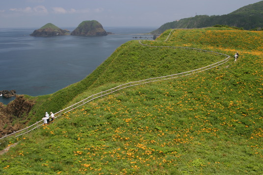 16 大野亀かんぞう