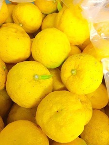 12305949_523096644526521_259463679_n