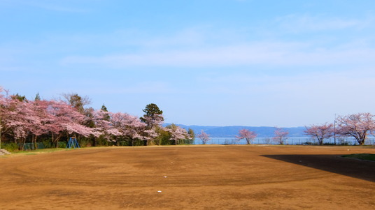 写真 2016-04-06 15 31 00