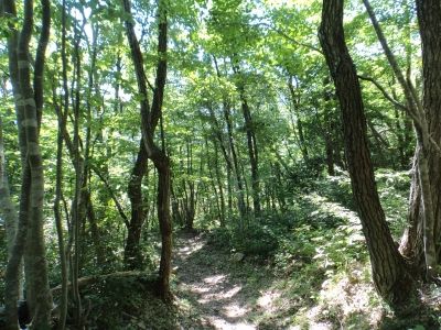 登山道