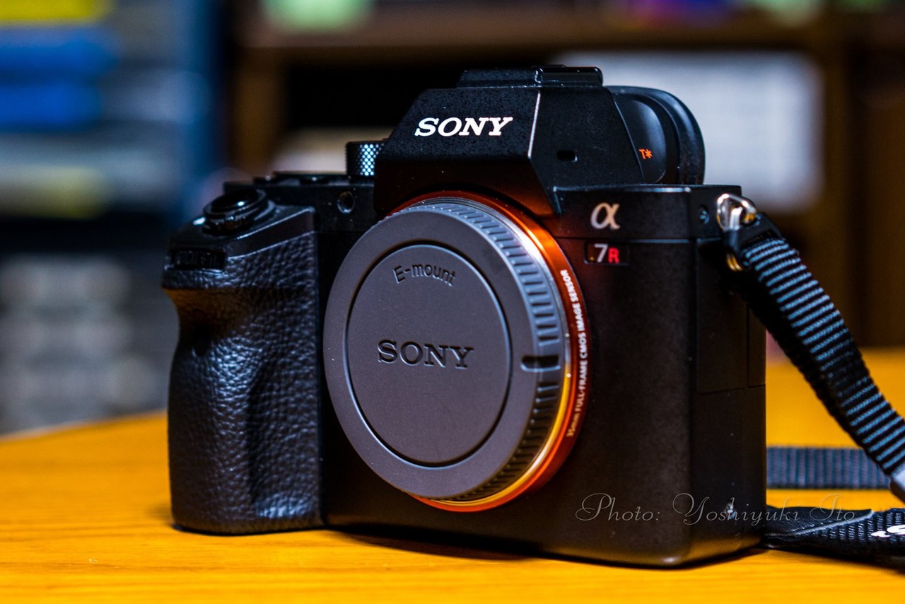 ボタニカル ミディアムベール SONY α7rⅱ - デジタルカメラ