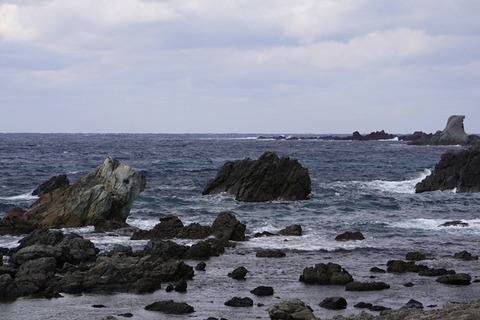コアラ岩
