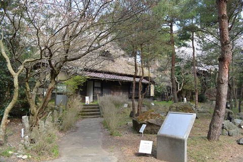 佐渡博物館岩石園1