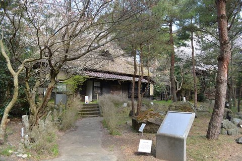 佐渡博物館岩石園１