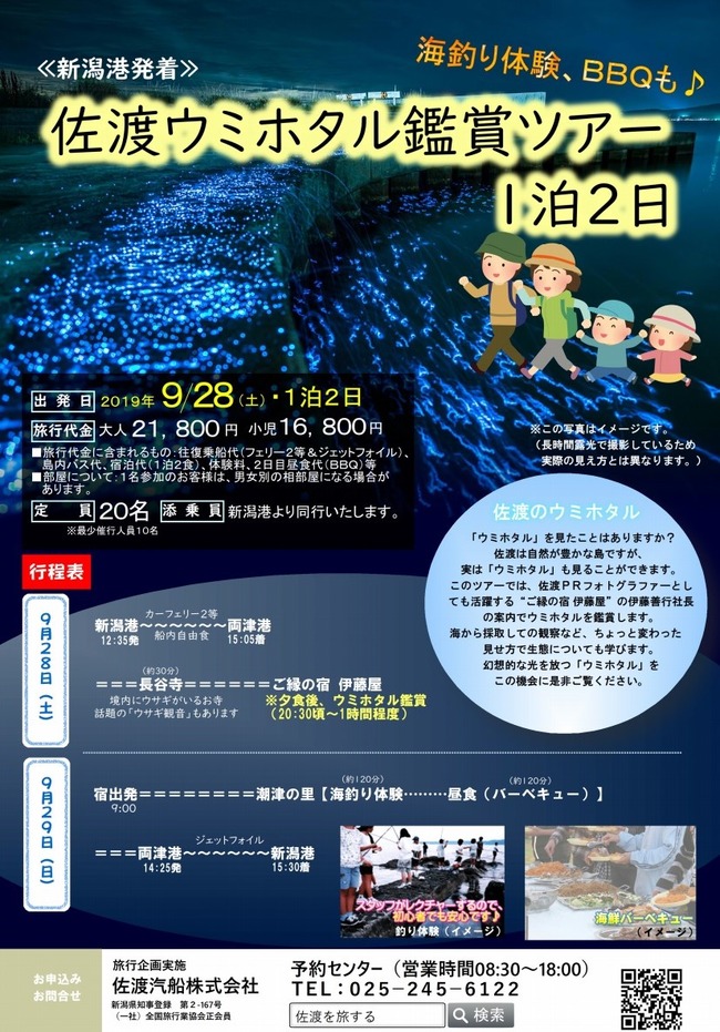 佐渡ウミホタル鑑賞