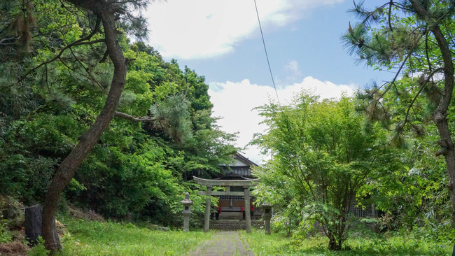 DSC07295