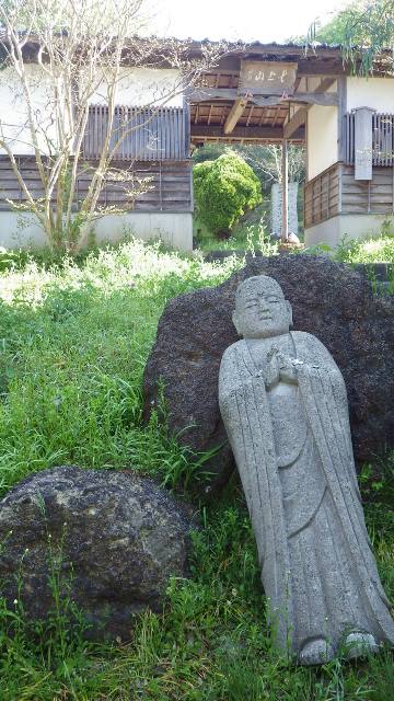 佐渡花の木7