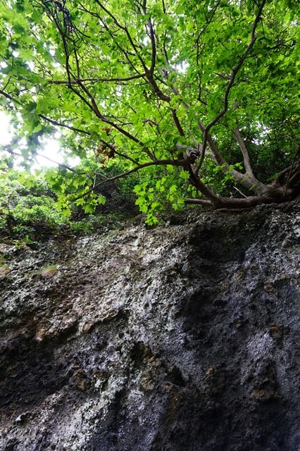 佐渡たらい舟体験矢島経島７