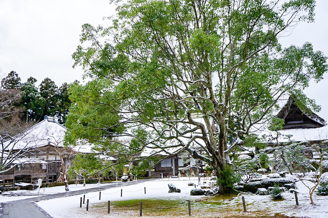 妙宣寺4