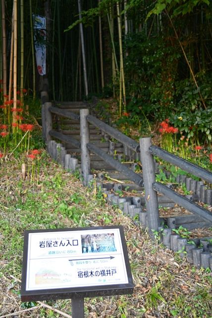 佐渡宿根木の横井戸１