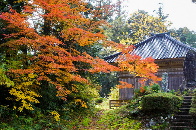 国分寺着物でフォトウォーク佐渡4