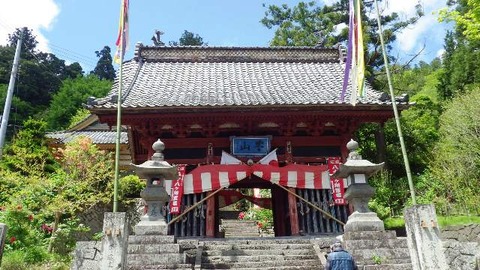 佐渡長谷寺ぼたん祭１