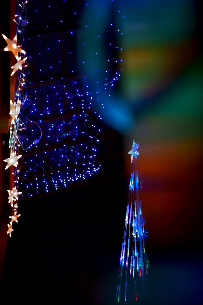 1DSC08855