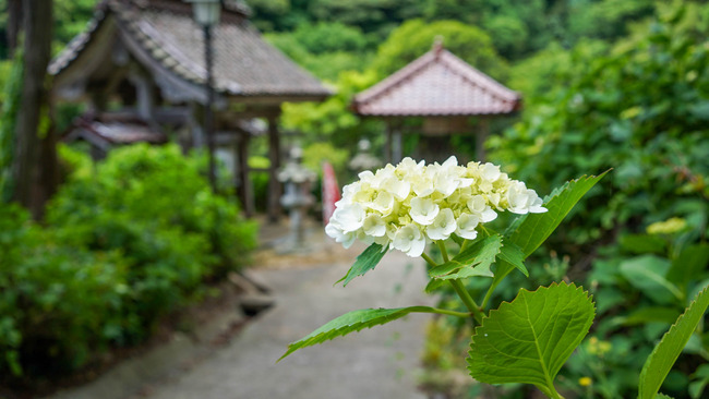 蓮華峰寺9