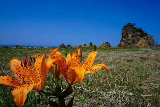 藻浦崎2