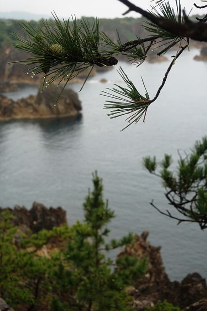 雨の尖閣湾