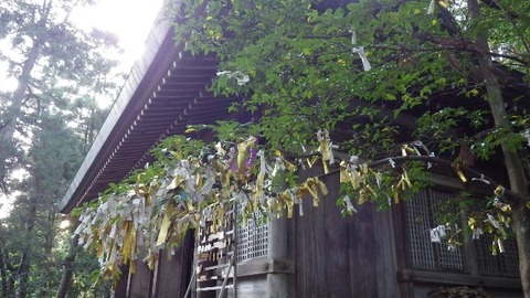 佐渡百選53度津神社4