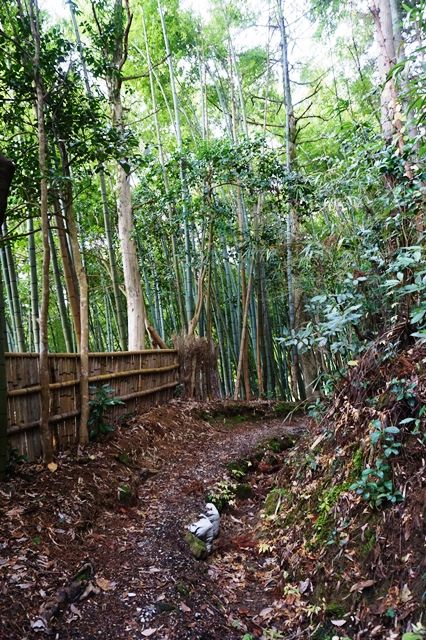 佐渡鍋倉の滝行き方2