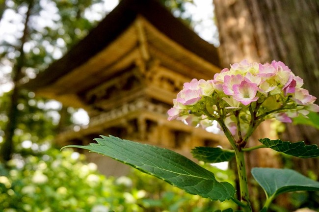 蓮華峰寺3
