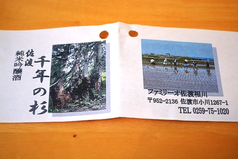 佐渡千年の杉２