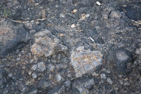 佐渡枕状溶岩ハート型