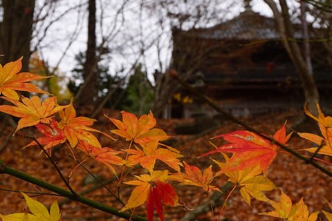 慶宮寺八祖堂7
