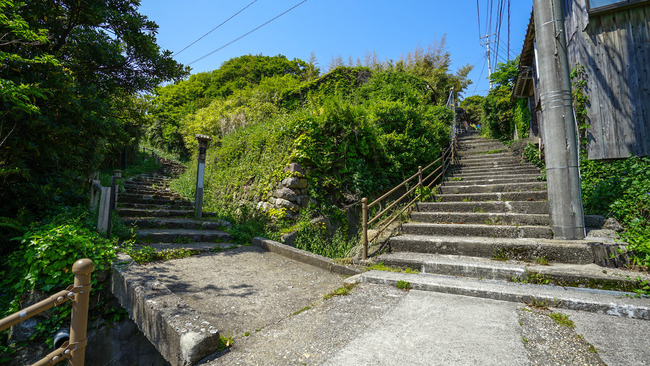 DSC04819