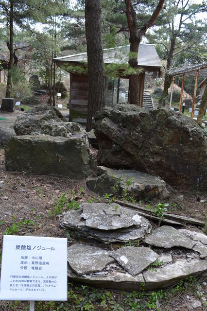 佐渡博物館岩石園炭酸塩ノジュール