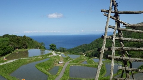 佐渡岩首の棚田3