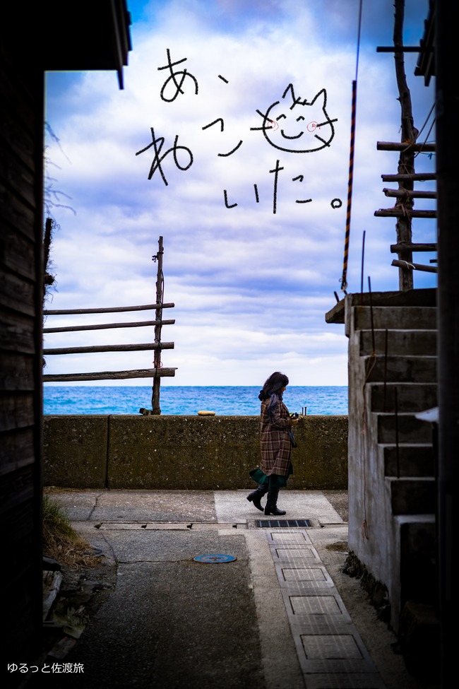 ゆるっと佐渡旅