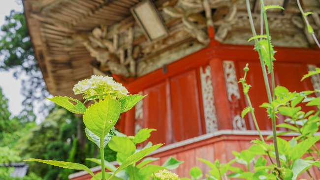 蓮華峰寺3