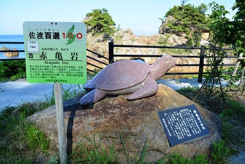 佐渡百選赤亀岩1