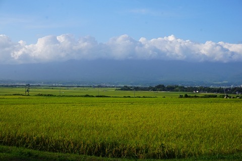 佐渡の風景