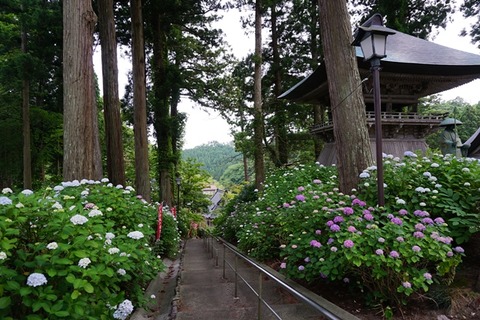 蓮華峰寺階段