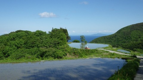 佐渡岩首の棚田
