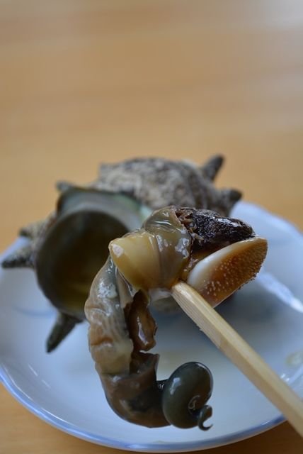 佐渡さざえ1