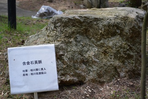 佐渡博物館岩石園含金石英脈