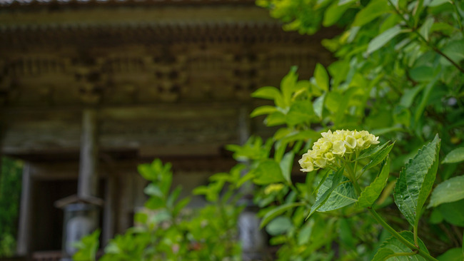 蓮華峰寺7