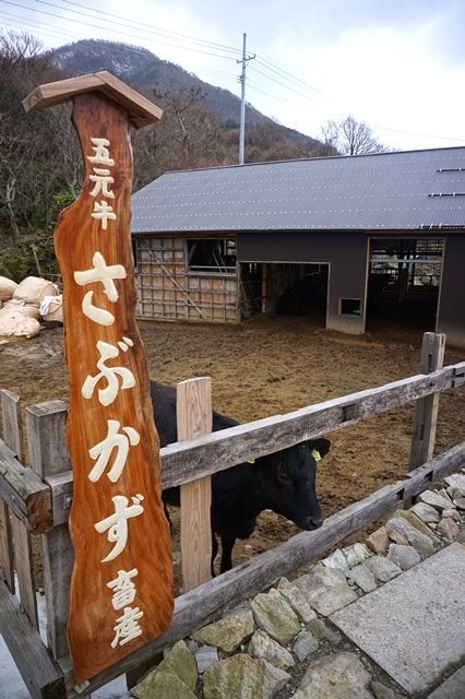 五元牛さぶかず畜産