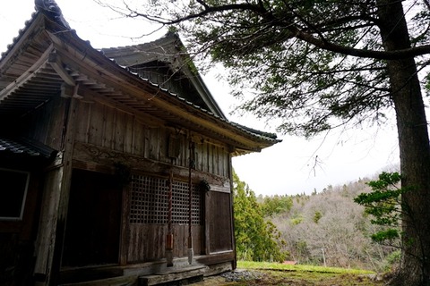 春日若宮神社6