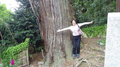 佐渡長谷寺ぼたん祭１９