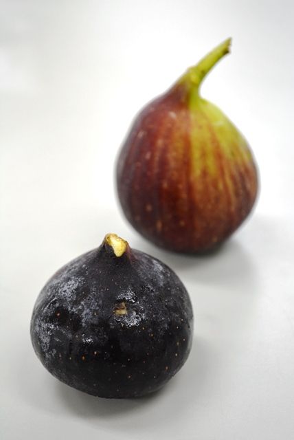 佐渡無花果