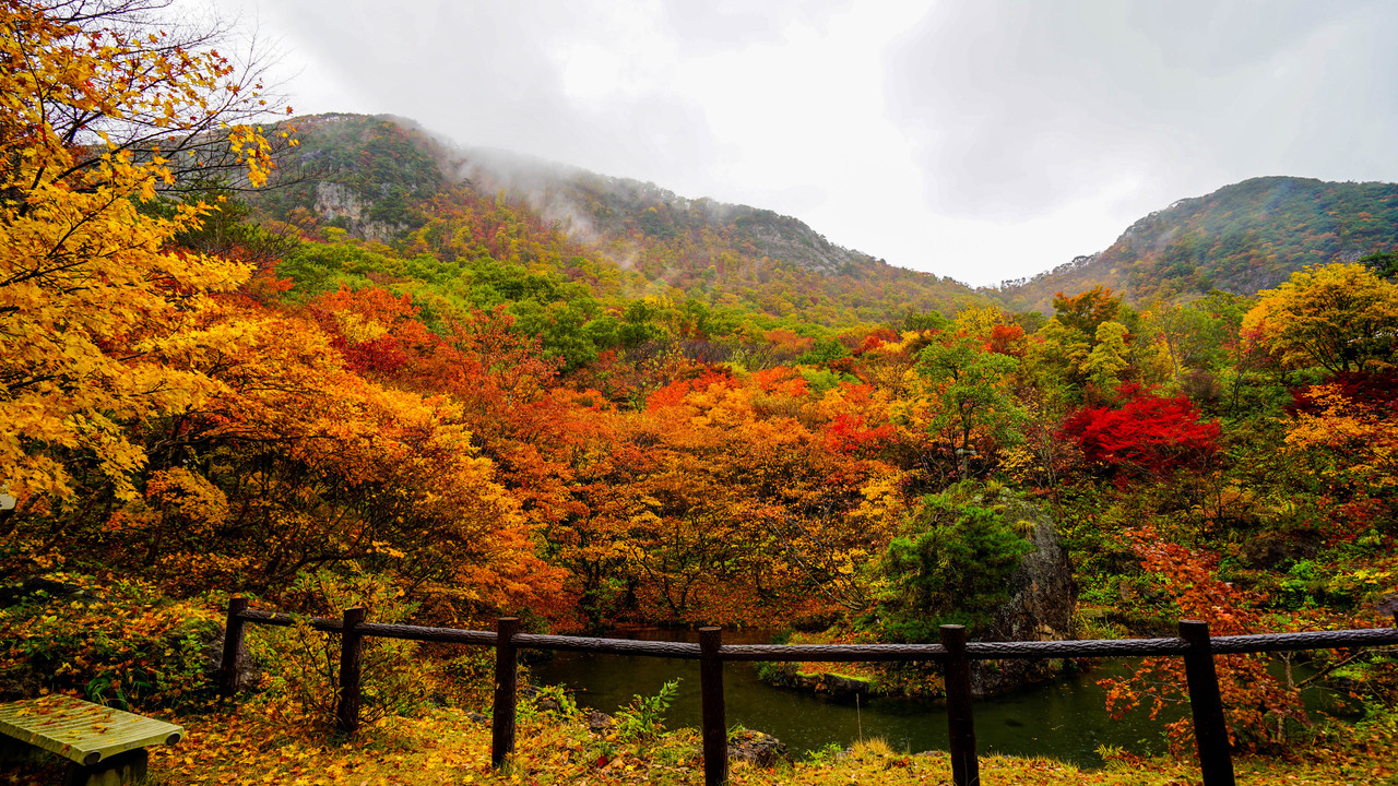 紅葉 雨の日には 雨ならではの美しい風景を 紅葉山 佐渡旅 Sadotabi