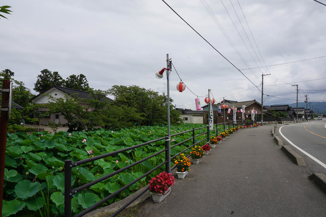 DSC04834