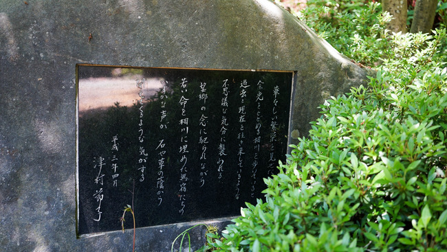 DSC04765