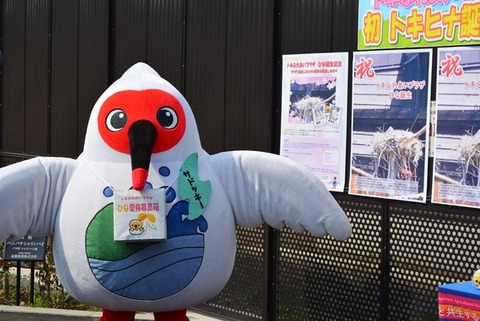 サドッキー