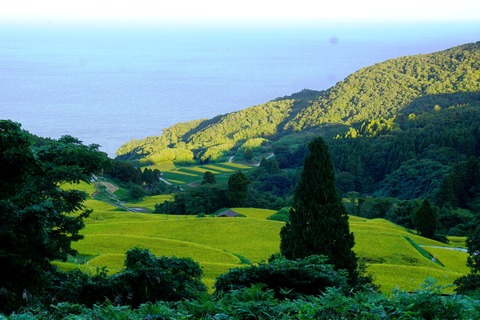 岩首棚田