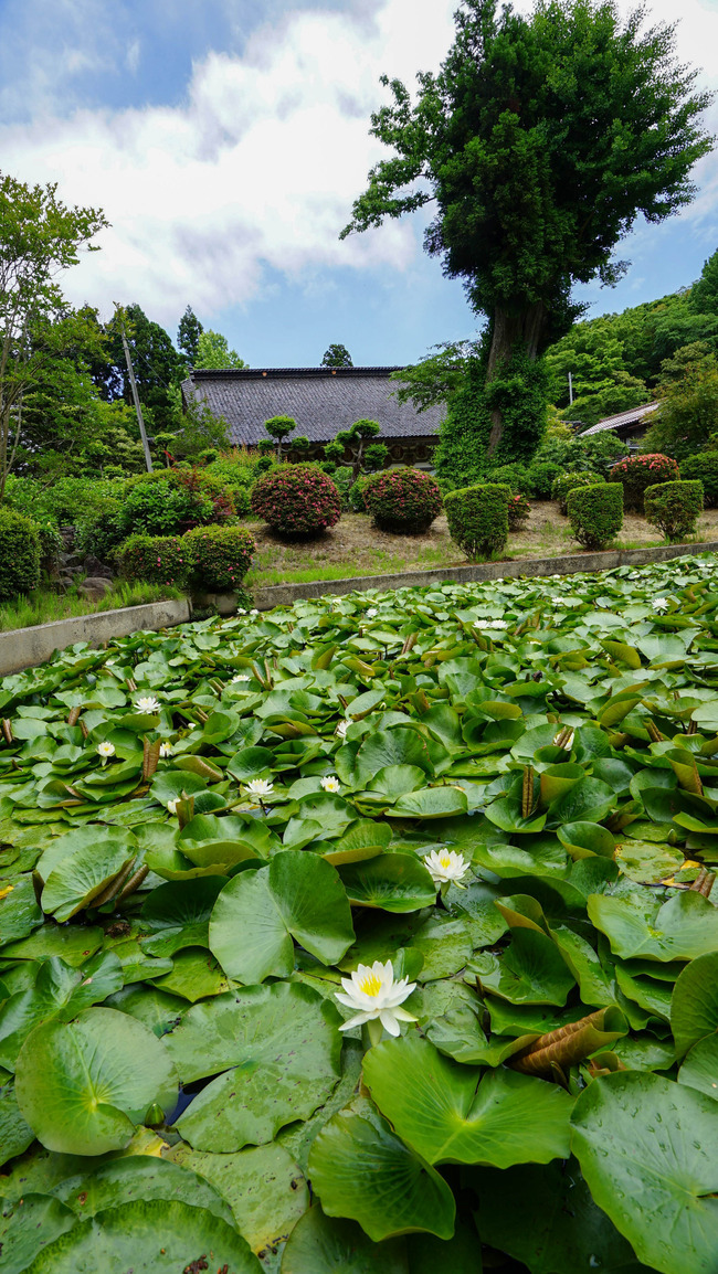 蓮華峰寺13