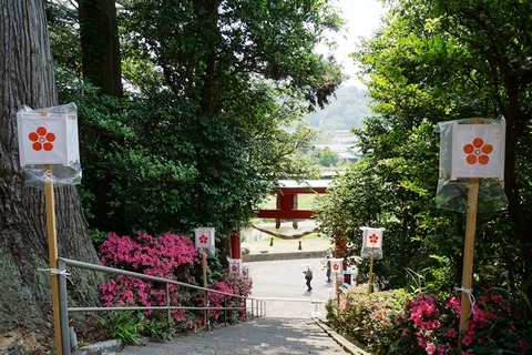 佐渡菅原神社４