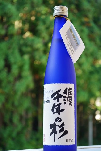 佐渡千年の杉